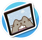 cute cat