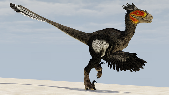 Sagittarius Novaraptor