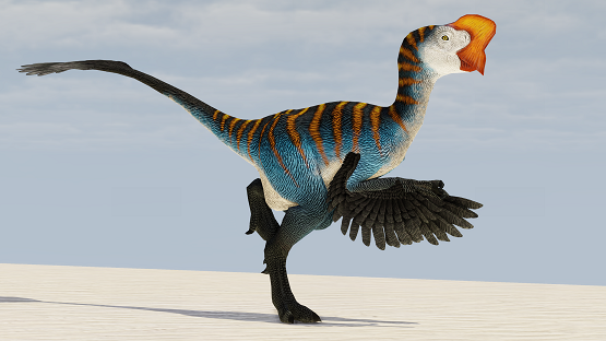 Tropical Oviraptor