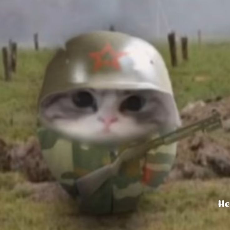 Афган епта