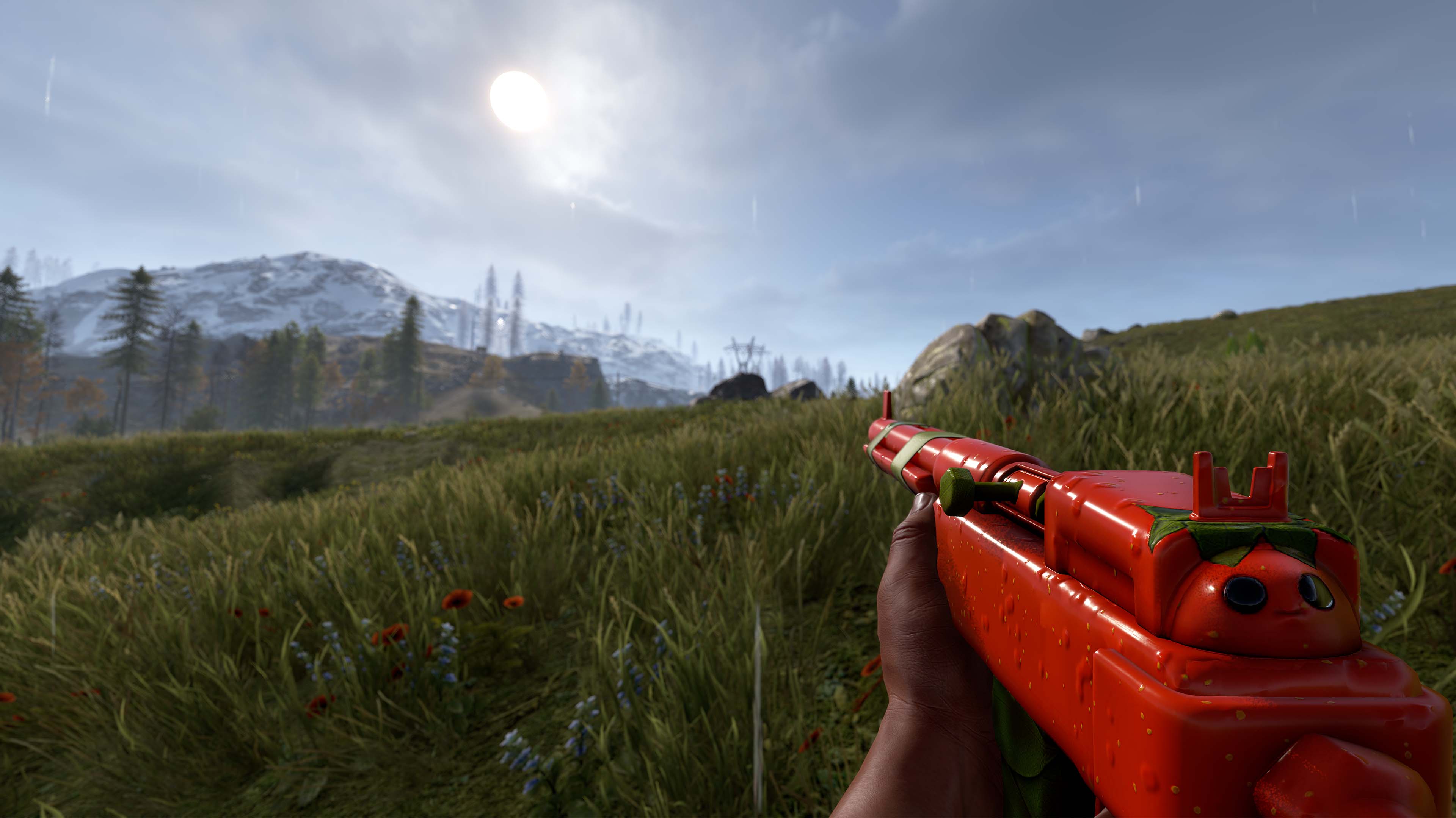 Señor Tomato SAR thumbnail 4
