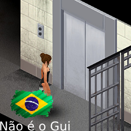 Working Elevators (Brazilian Portuguese)
