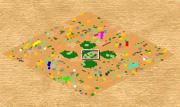 Mini Oasis