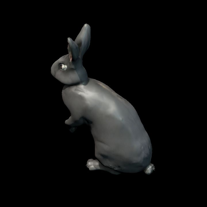Standing B Rabbit