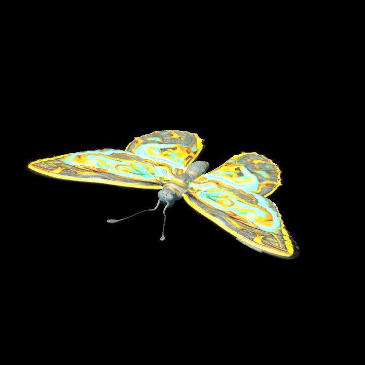 Butterfly 8