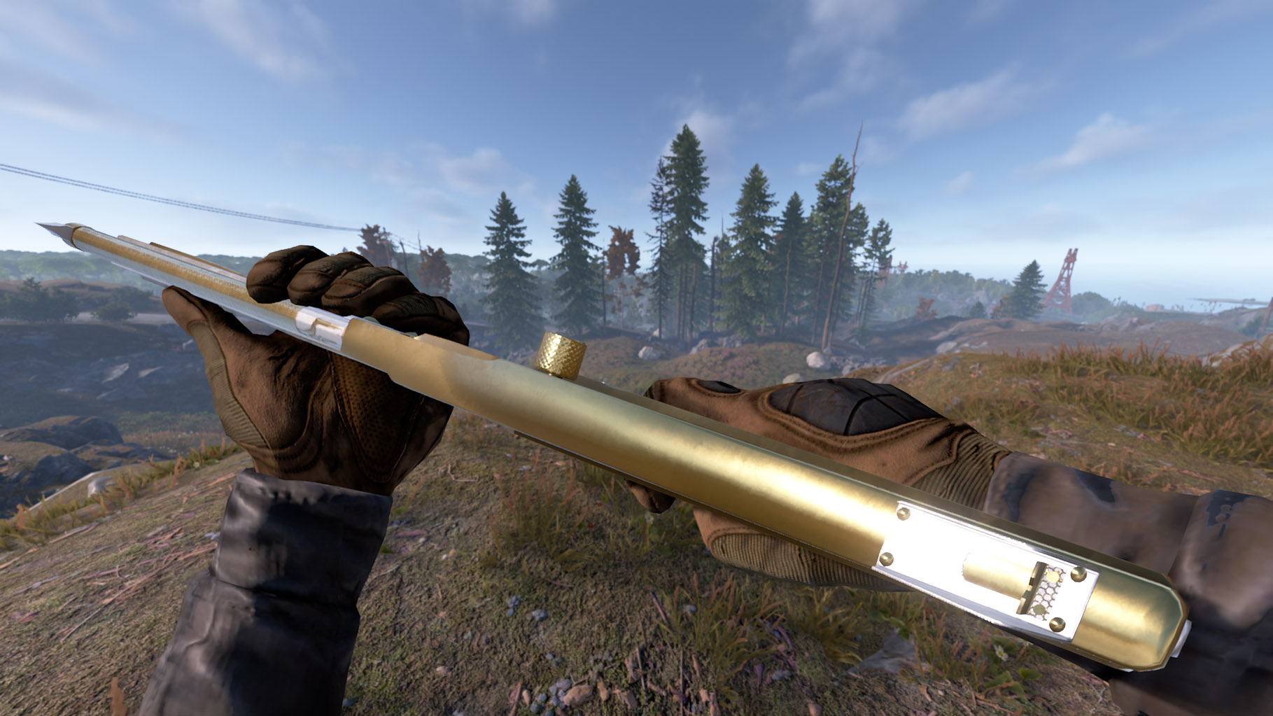Thundergold Thompson thumbnail 9