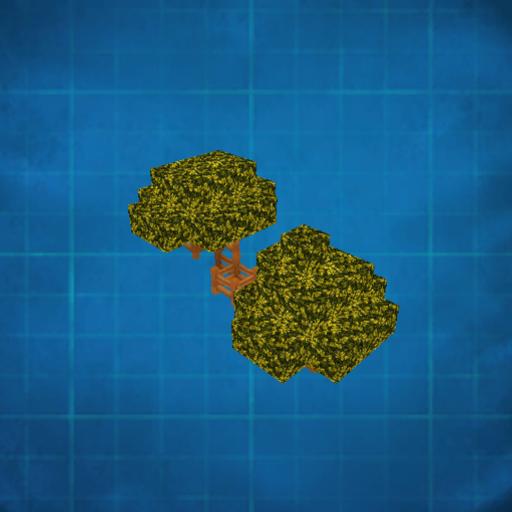 Bonsai tree