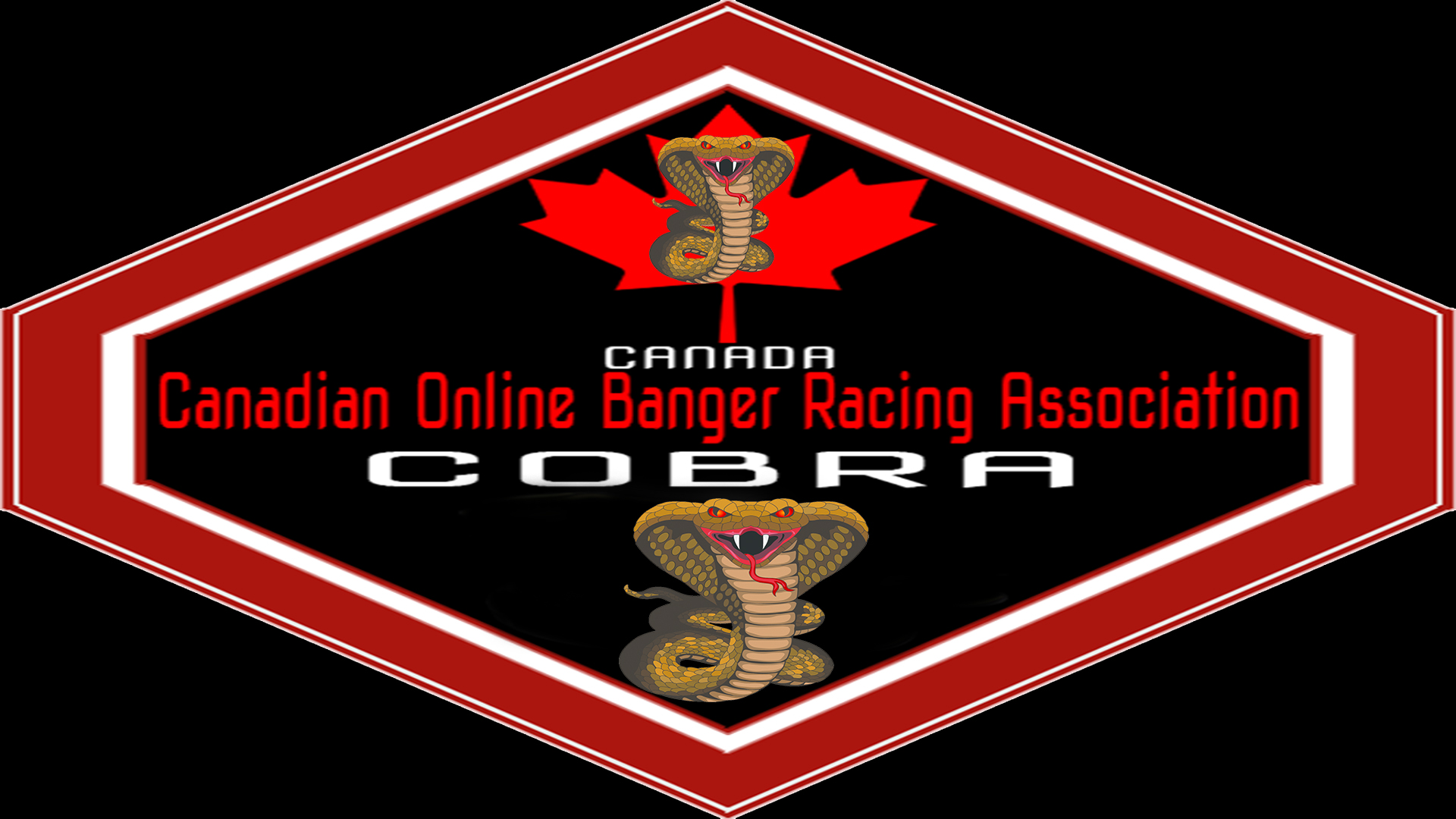 COBRA League Skins