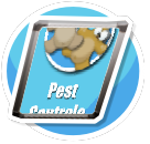 Pest Controle Poster