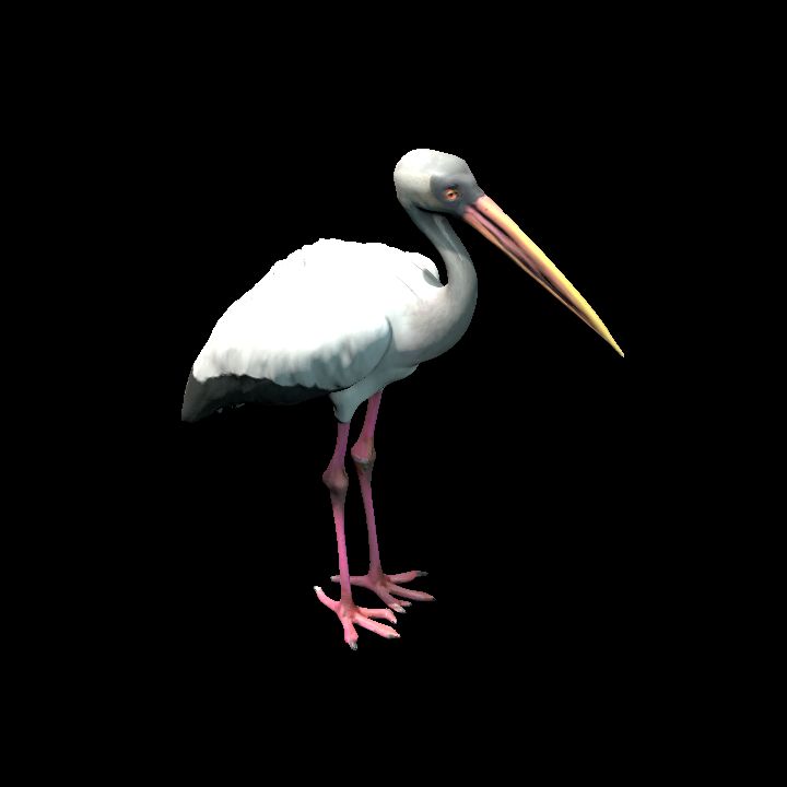 Woodstork