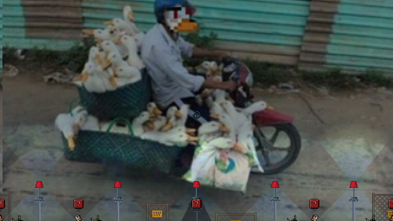 Duck highway