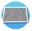 Gray Carpet