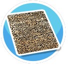 Leopard Rug