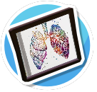 Rainbow Lungs