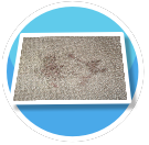Gross Stained Carpet