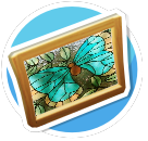 Glass Butterfly