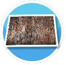 Cracked Wood Floor