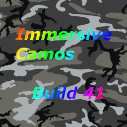 [B41] Immersive Camos