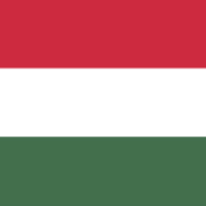 Hungarian Language