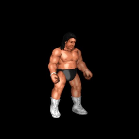 長州 力 (Riki Choshu)
