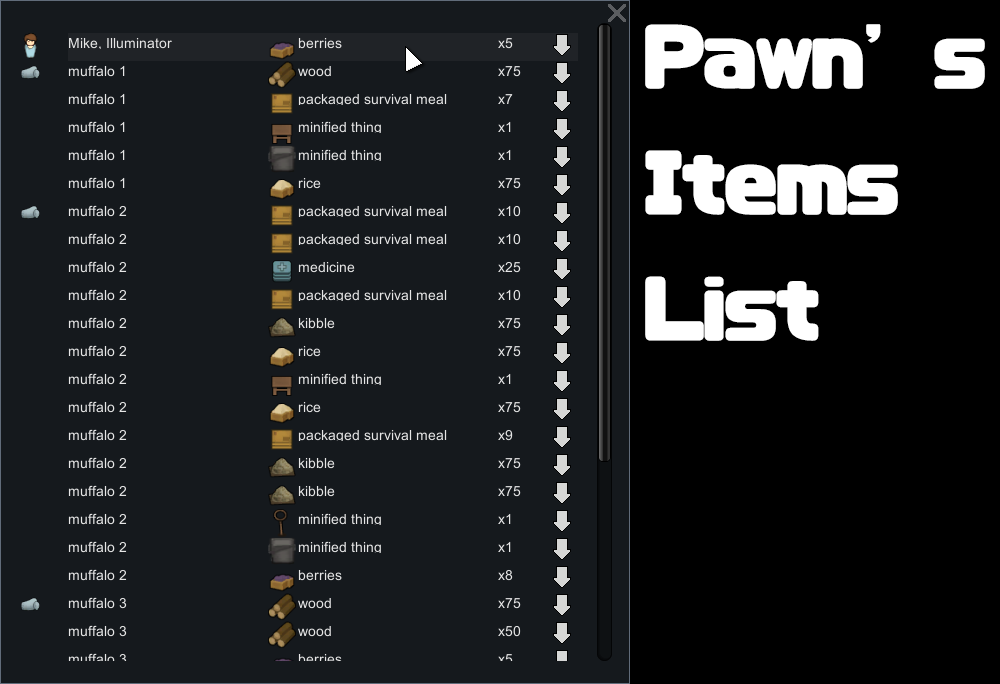 Pawn's Items List
