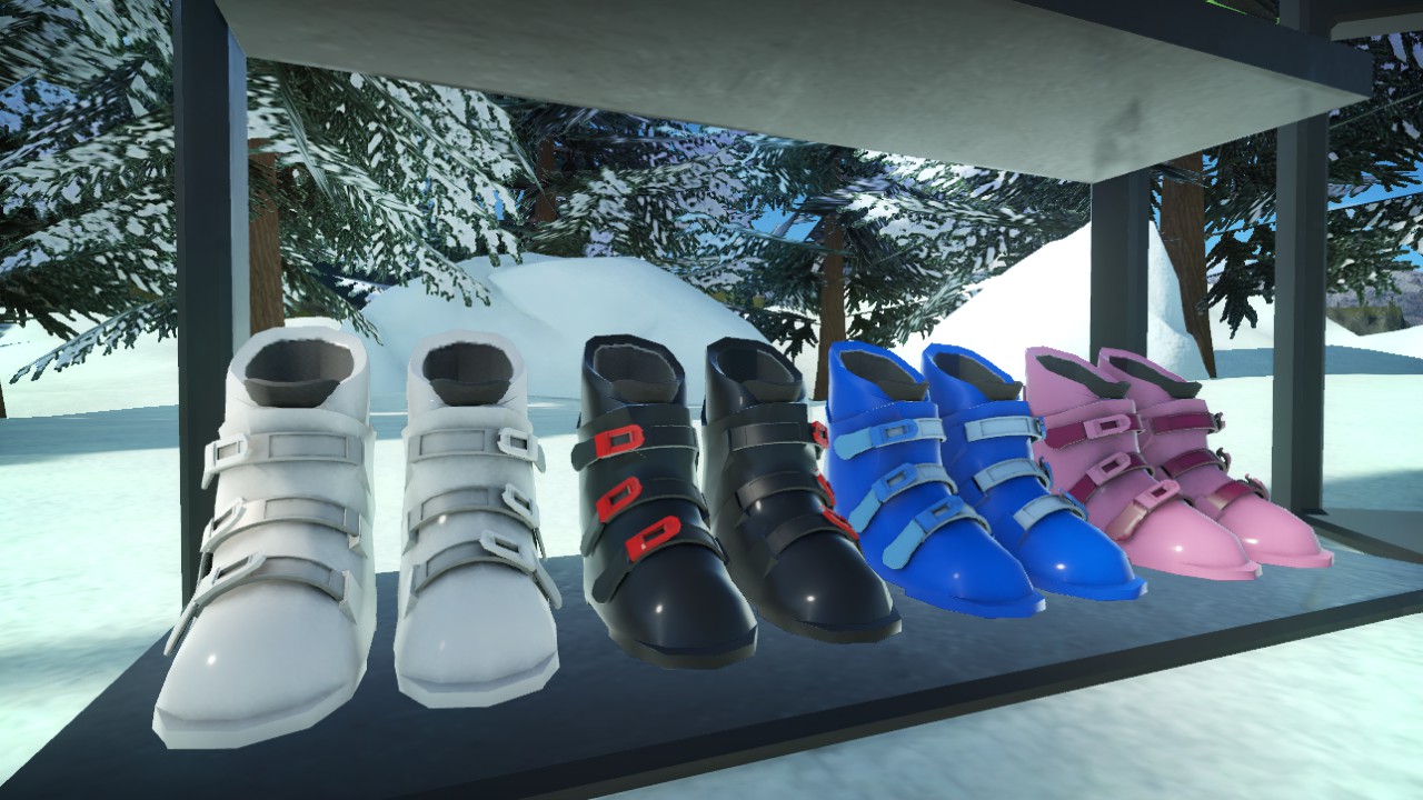 Ski and Snowboard Boots