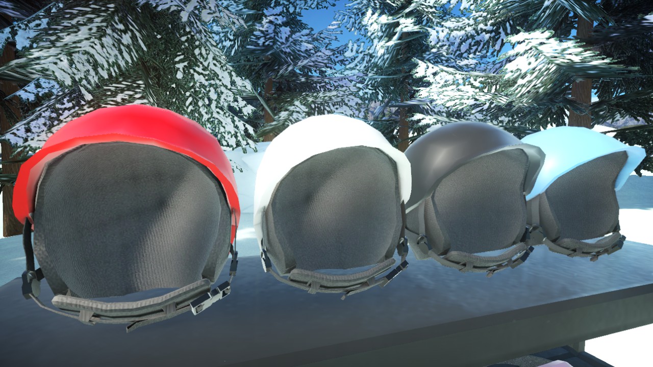Ski and Snowboard Helmet