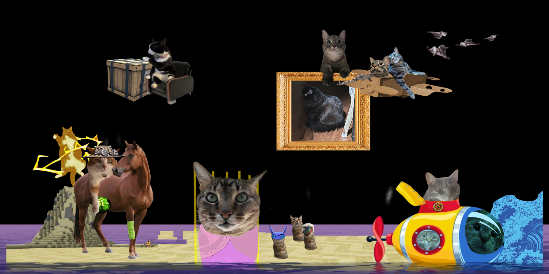 cat wars