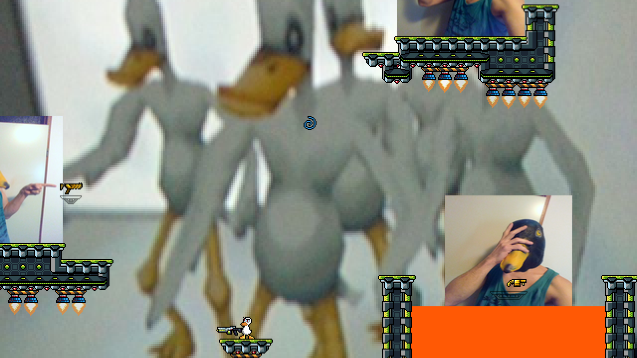 Duck dimension