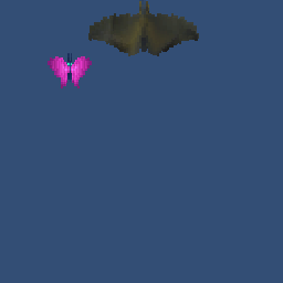 Fruit Bat