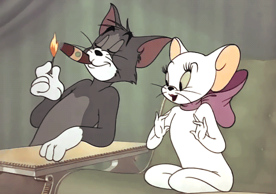 Steam Community :: :: TOM I JERRY