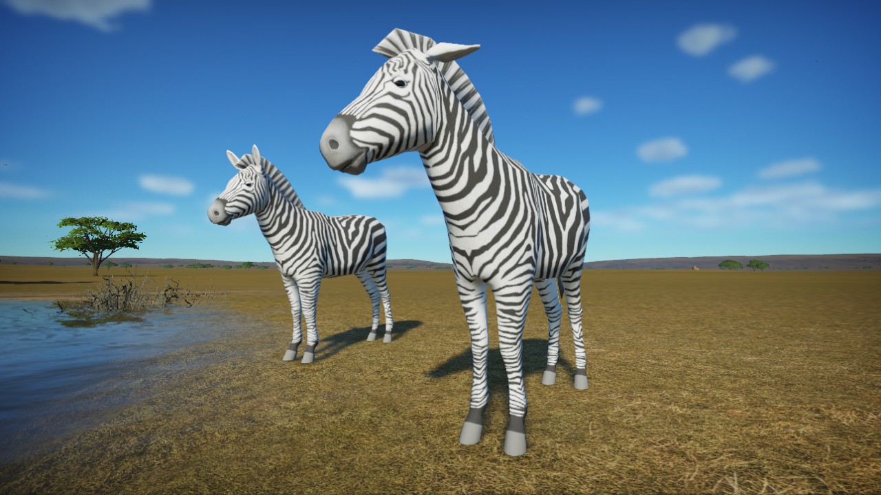 Zebra, Idle Animation