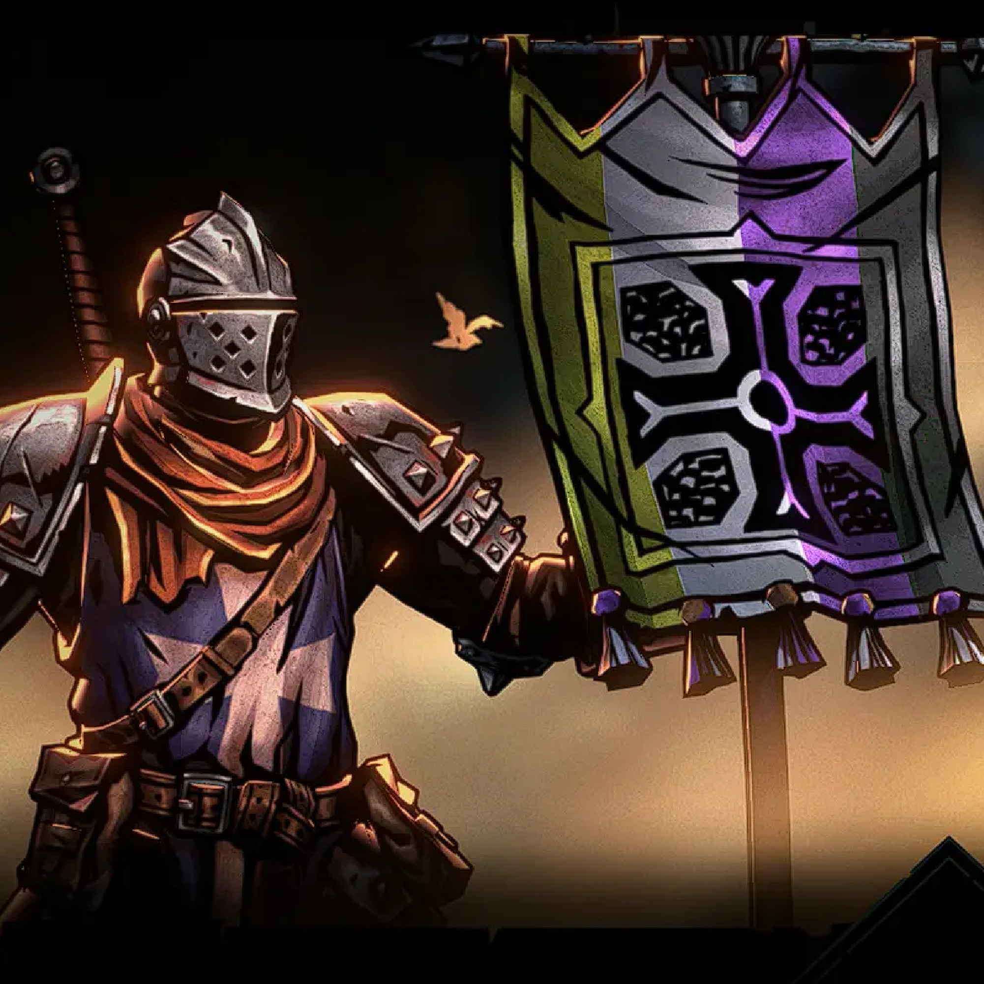 Crusader Non-Binary Pride Banner