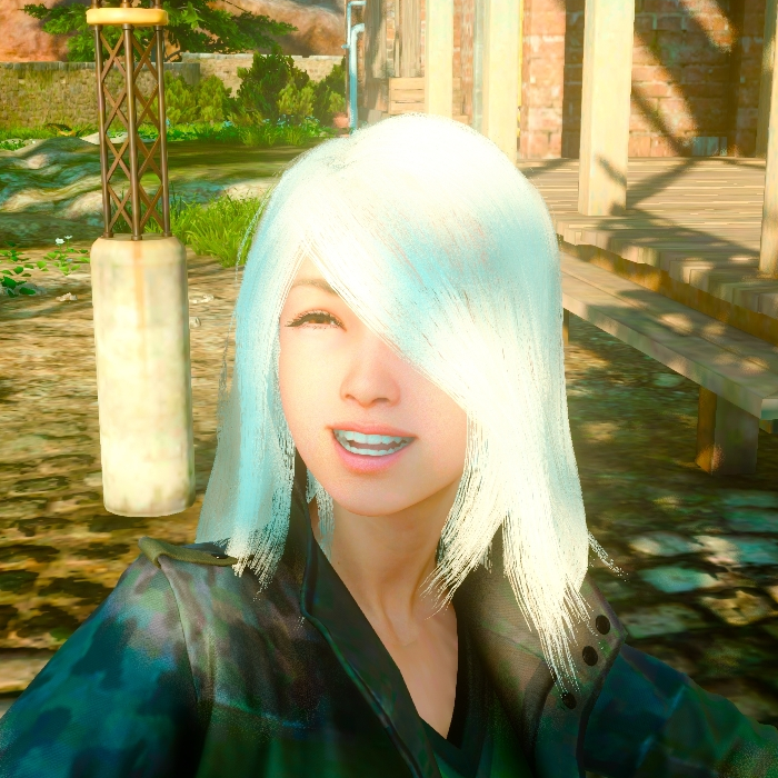 A2-Like Long Hair (Comrades, Female Hair)