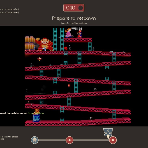 Payload Donkey Kong