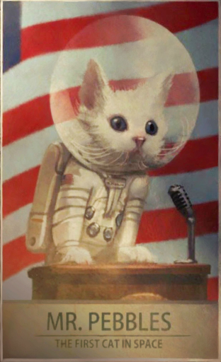 Mr Pebbles the space cat