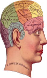 Phrenology poster