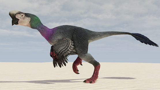 Rock Oviraptor