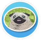 Pug Rug!