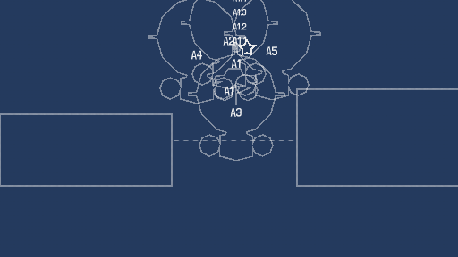 loop