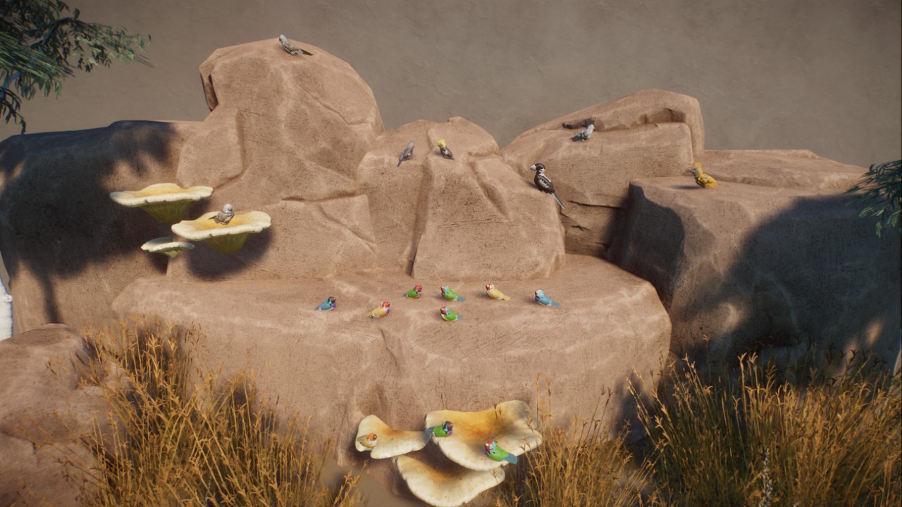 Rick's Australian Outback Birds preview