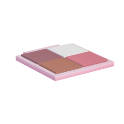 Makeup Palette D (NO LID)