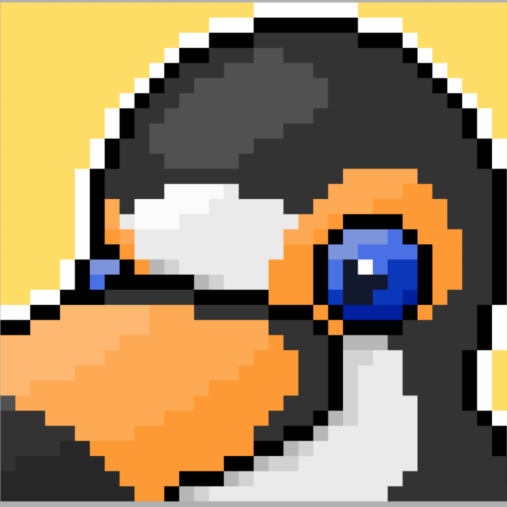 toucan