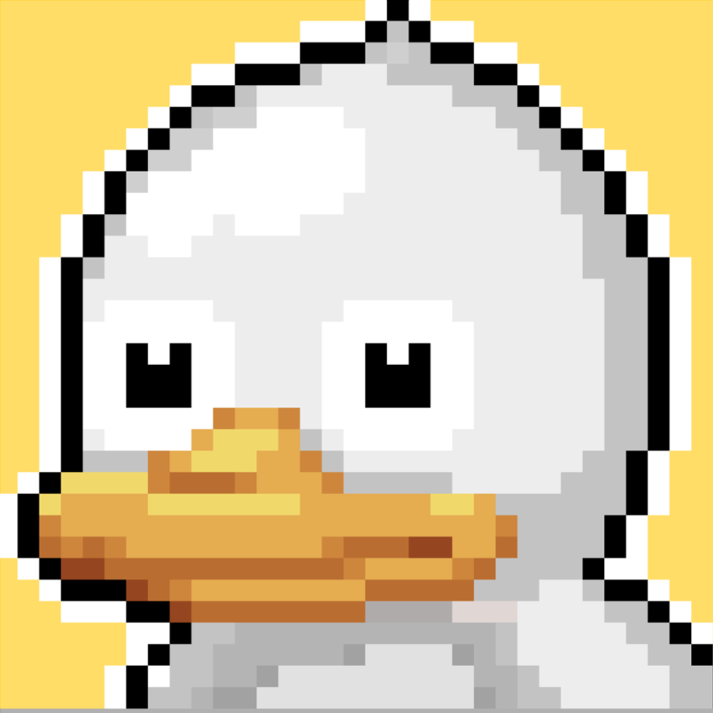white duck