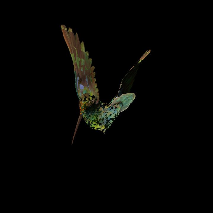 Animated Hummingbird