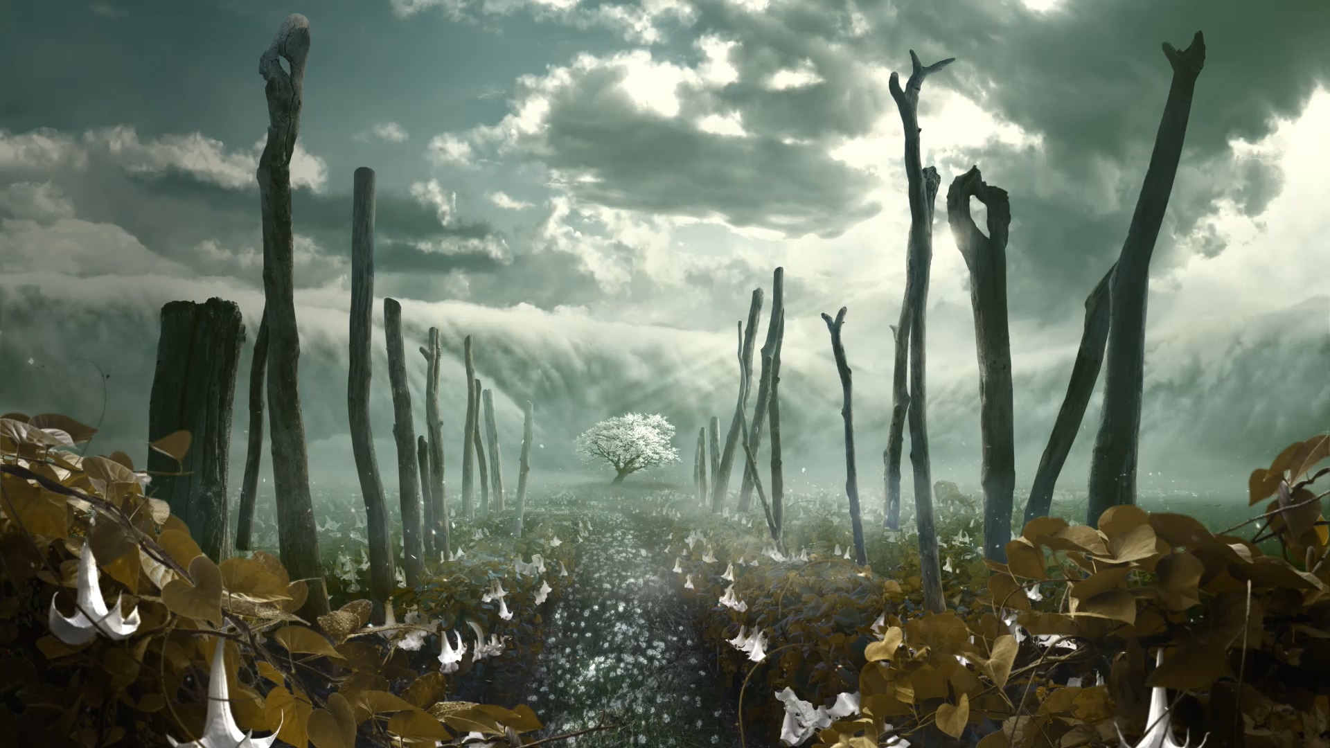 B35537E474AE6A356919A5ADD767ED066D3F4532