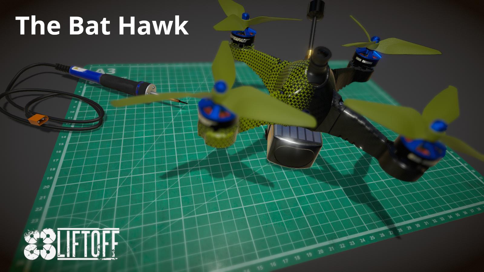 The Bat Hawk