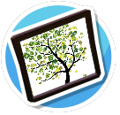 Bild Baum 2
