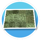 Green Floor