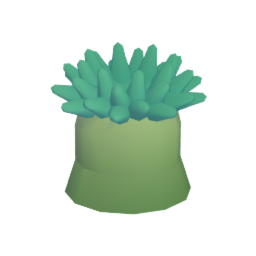 Sea Anemone